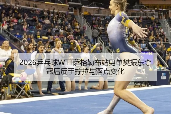 ping-pang-qiu-sa-ge-lei-bu-zhan-nan-dan-fan-zhen-dong-duo-guan-hou-fan-shou-ning-la-yu-luo-dian-bian-hua-2-792.jpg