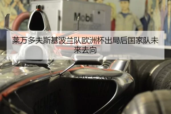 莱万多夫斯基波兰队欧洲杯出局后国家队未来去向